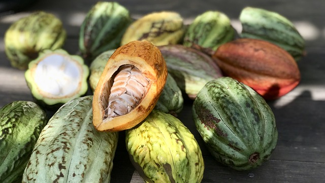 cacao